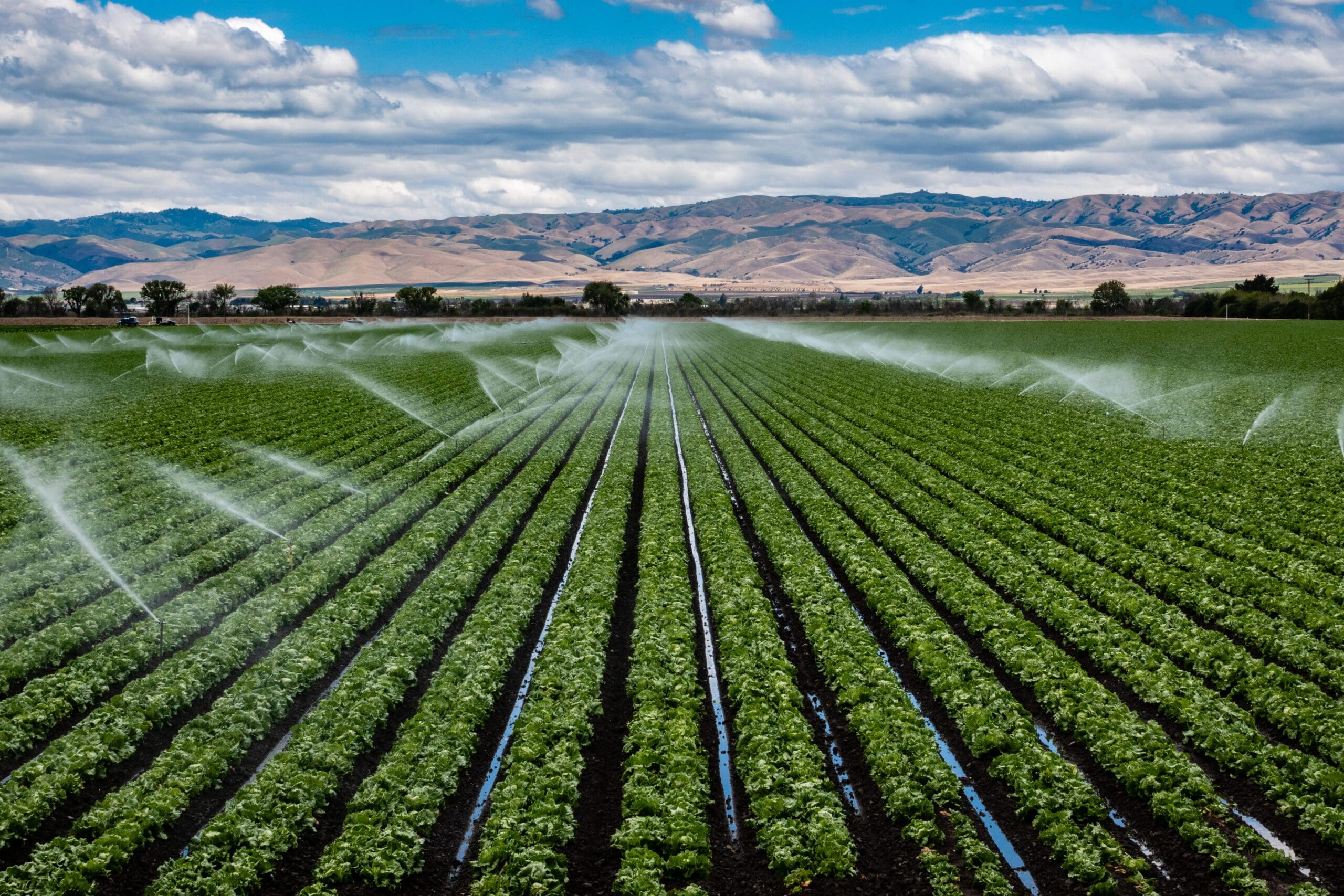 a field irrigation sprinkler system