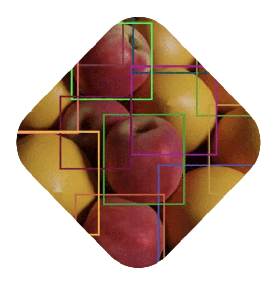 100% accurately labeled images of fruit