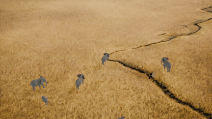 Synthetic image data of elephants in the wild for environmental monitoring AI
