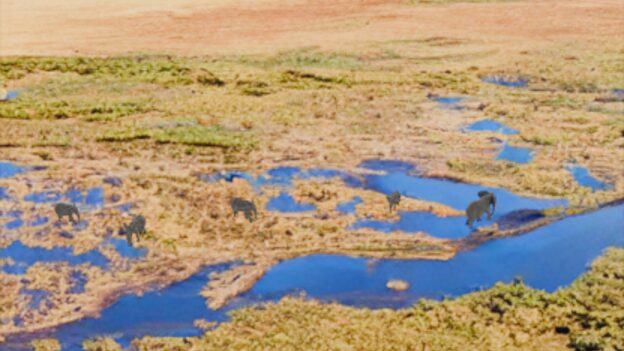 Synthetic image data generation for drone based wildlife monitoring.
