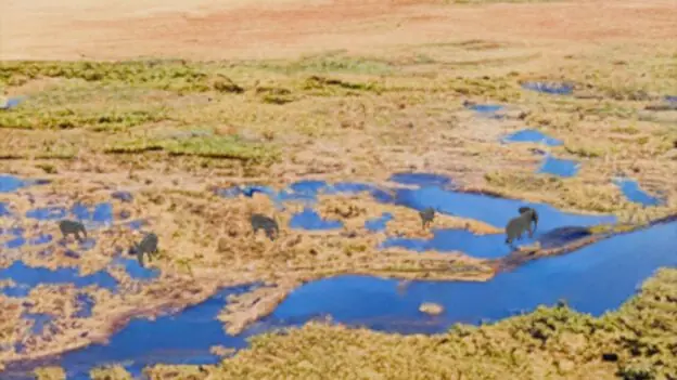 Synthetic image data generation for drone based wildlife monitoring.
